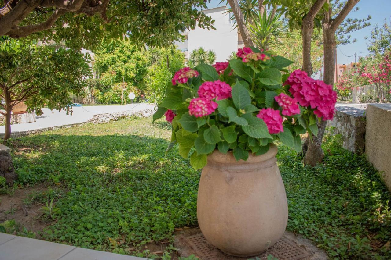 Evdokia Αpartments & Dimitra Village Agia Marina Dış mekan fotoğraf