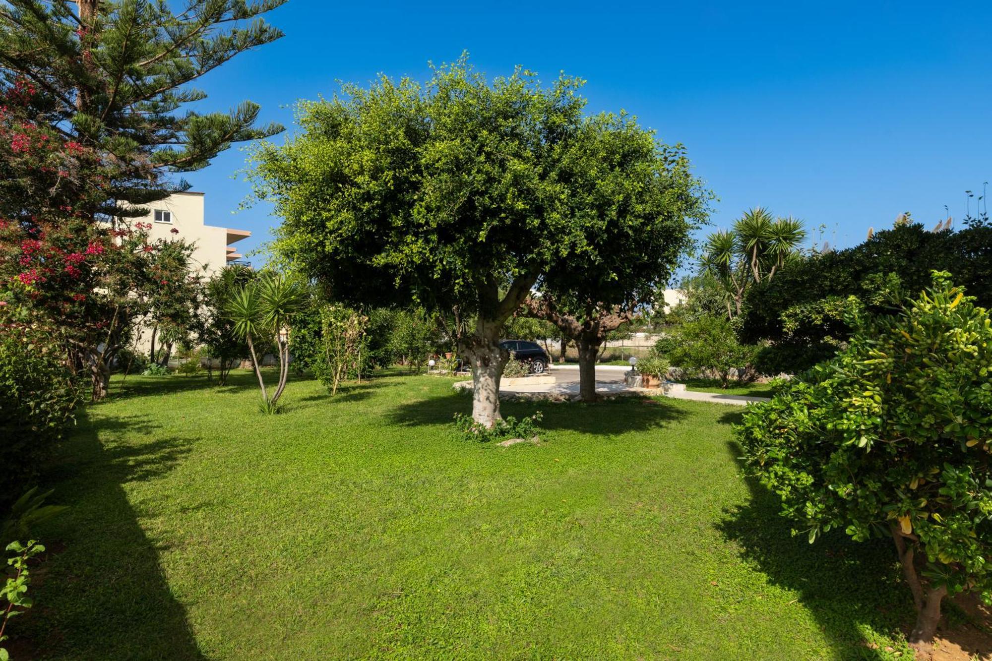 Evdokia Αpartments & Dimitra Village Agia Marina Dış mekan fotoğraf
