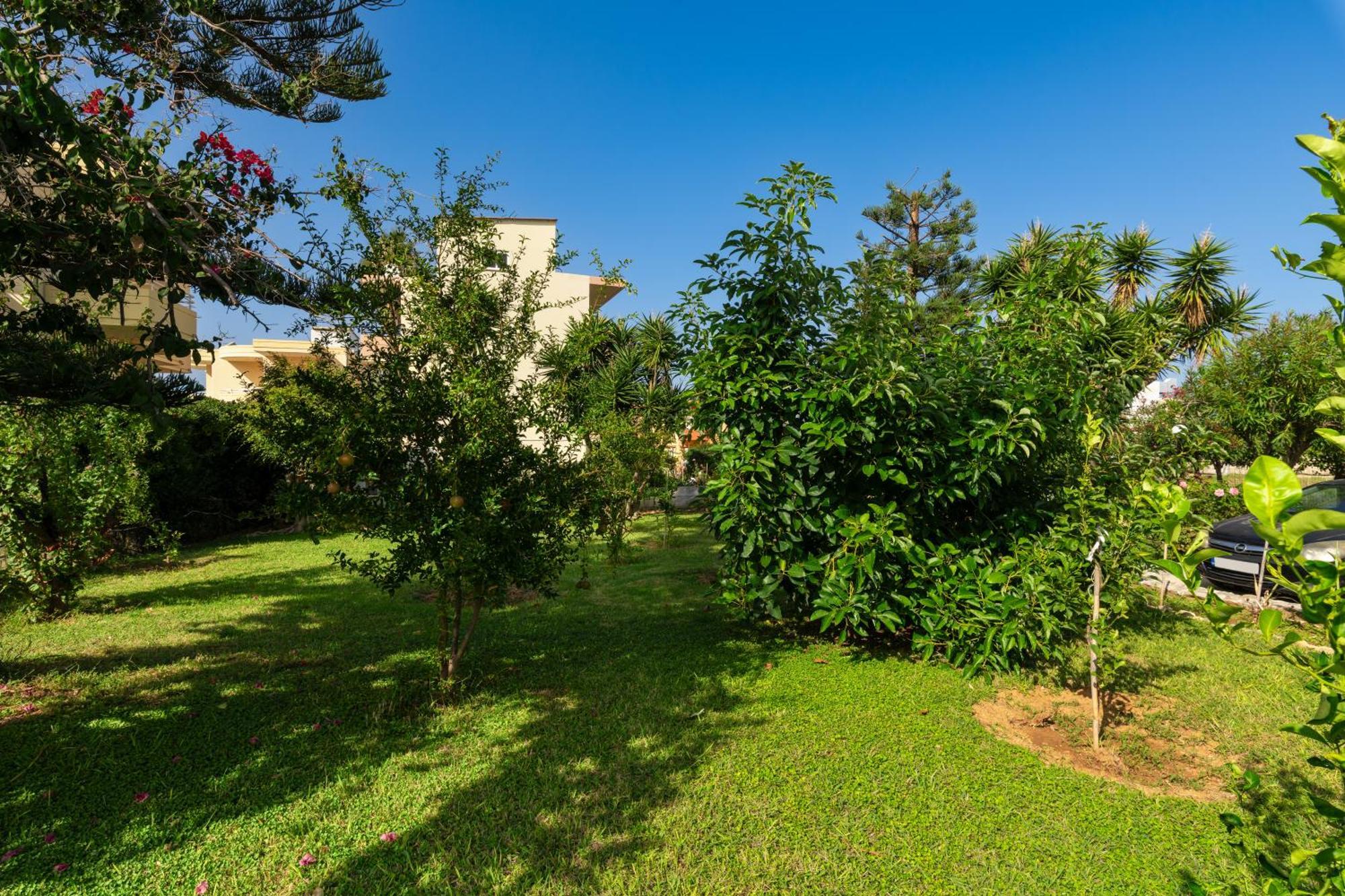 Evdokia Αpartments & Dimitra Village Agia Marina Dış mekan fotoğraf
